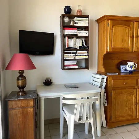 Apartment A 150 M Du Club De Plongee, Terrasse Et Parking A - Fr-1-309-87